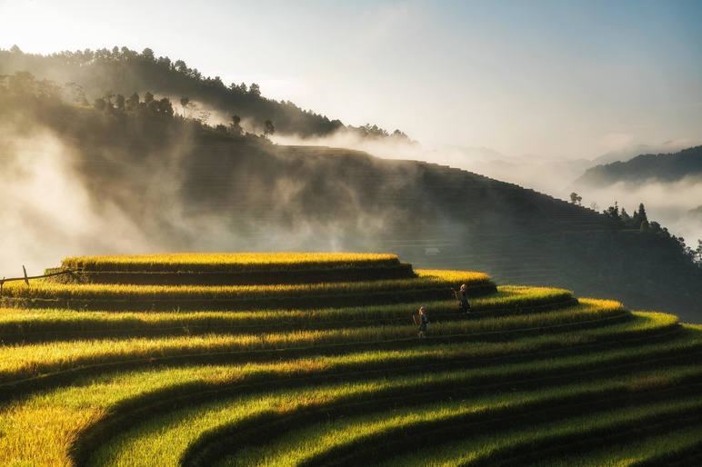 Hoach le dinh Pe Rt3u Mmj YM unsplash