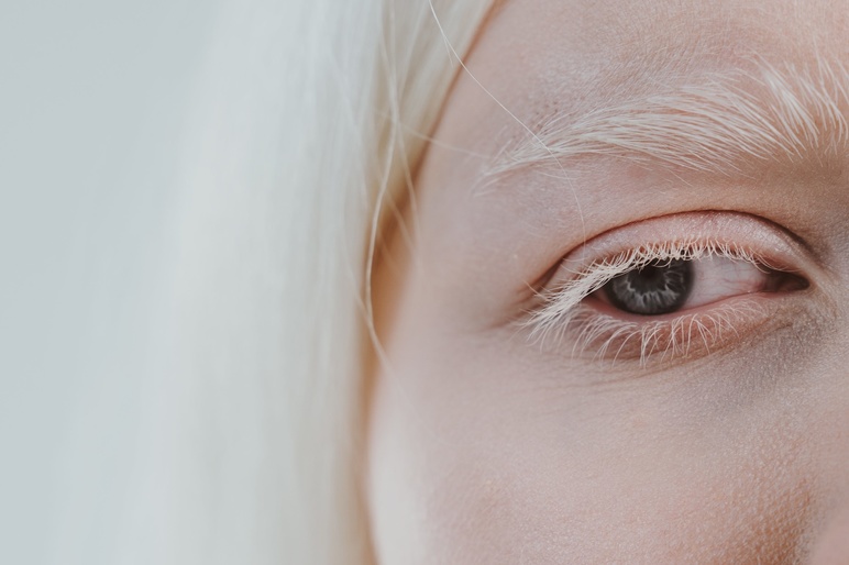 Shutterstock 2053691279