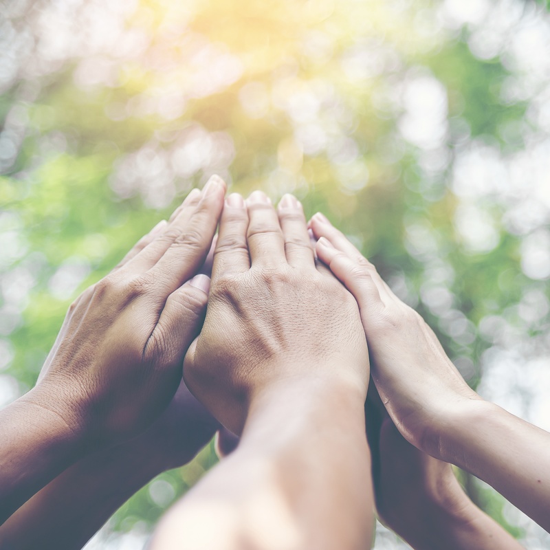 People hands assembling Donate Page shutterstock 1555265336